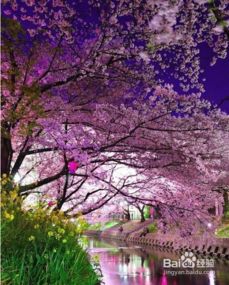 怎樣寫(xiě)關(guān)于春天的作文開(kāi)頭