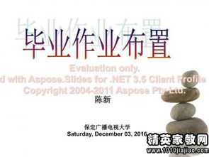 關(guān)于會(huì )計畢業(yè)調研報告范文(會(huì )計調研報告)