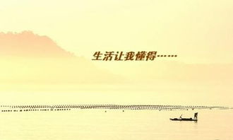 生活使我懂得了寬容700字作文開(kāi)頭