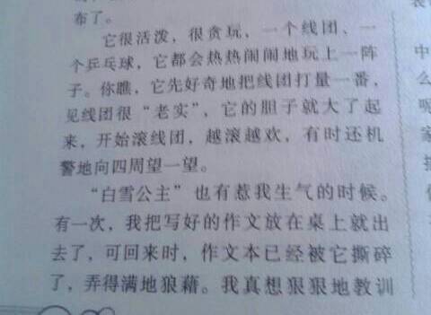 那個(gè)可愛(ài)的她作文開(kāi)頭