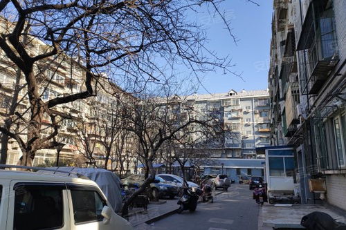 朝陽(yáng)地縫作文開(kāi)頭