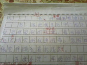 寫(xiě)事的作文開(kāi)頭字多一點(diǎn)