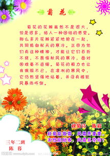 以關(guān)于菊花謎語(yǔ)開(kāi)頭的作文