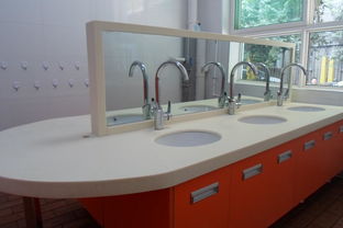 分管后勤園長(cháng)述職報告(分管后勤園長(cháng)述職報告)