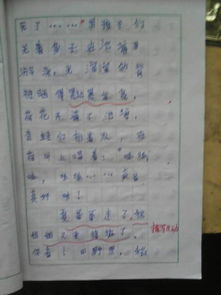 四級第六單元作文開(kāi)頭怎么寫(xiě)