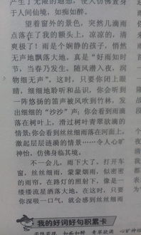 古人眼中的雨作文開(kāi)頭