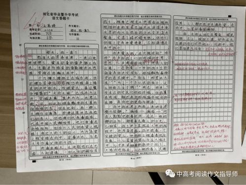 那天_雨一直下作文開(kāi)頭