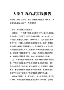 大學(xué)生實(shí)踐報告總結范文(大學(xué)生實(shí)踐報告總結范文)