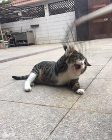 讓我更難過(guò)作文開(kāi)頭