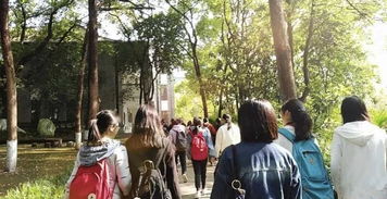 追逐夢(mèng)想作文好開(kāi)頭