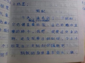 變形記作文六級螞蟻開(kāi)頭