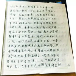 五級愛(ài)就在我身邊作文600字作文開(kāi)頭