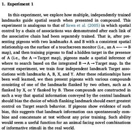 我做了實(shí)驗作文開(kāi)頭