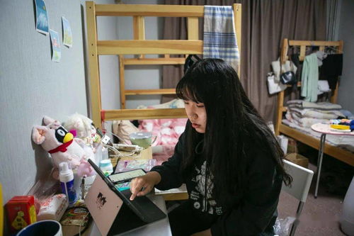 關(guān)于春節軼事話(huà)題的作文(春節軼事作文)