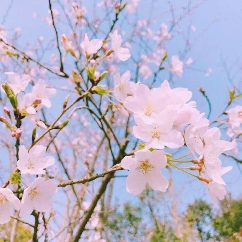 珍惜所有的不期而遇作文600字,珍惜所擁有的不期而遇作文,不期而遇的溫暖作文開(kāi)頭