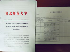 任期經(jīng)濟責任審計報告(關(guān)于任期經(jīng)濟責任的審計報告)