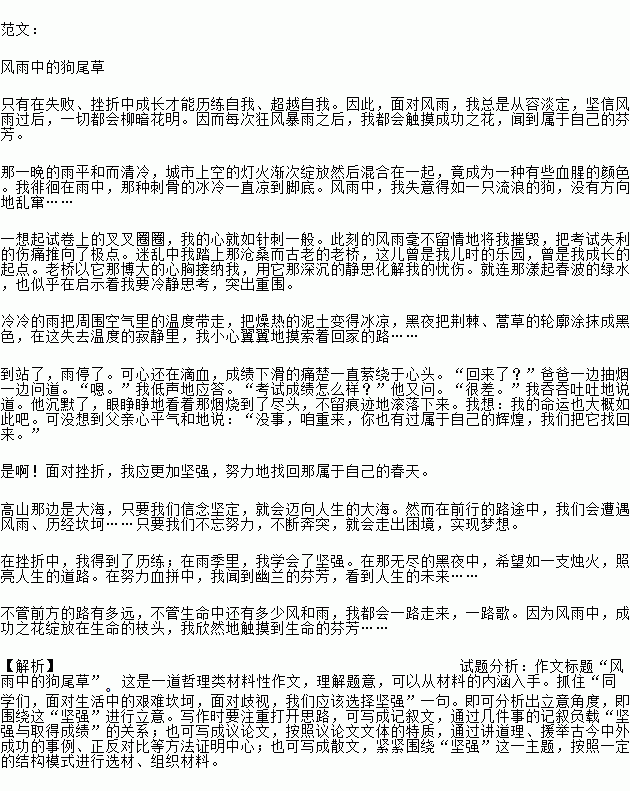 風(fēng)雨中的玫瑰作文開(kāi)頭