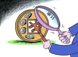 關(guān)于審計立項從報告(項目立項報告)