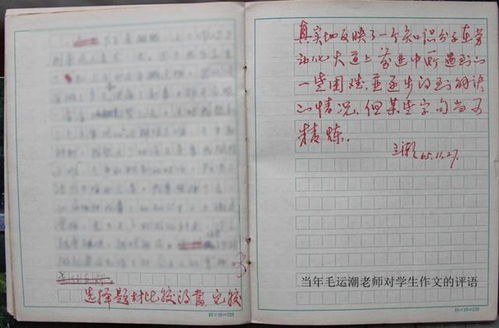 我為創(chuàng  )文盡點(diǎn)力作文開(kāi)頭