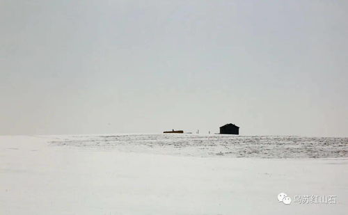 春風(fēng)吹的開(kāi)頭作文