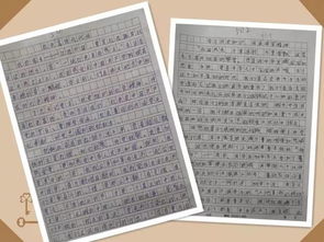 紅色精神的作文600字(紅色的溫暖紅色的情作文)