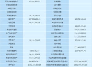 財務(wù)分析報告利潤表(財務(wù)分析報告模板)