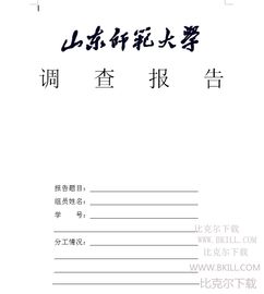 社會(huì )實(shí)踐成果報告()