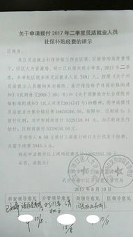 申請補助的報告(申請資金補助報告)