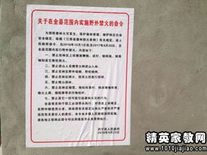 鄉公益性崗位的自查報告范文(鄉公益性崗位的自查報告)