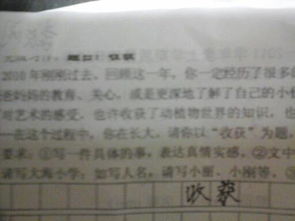 收獲作文600字四級作文開(kāi)頭結尾