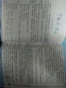 讓我印象最深刻的人的作文開(kāi)頭