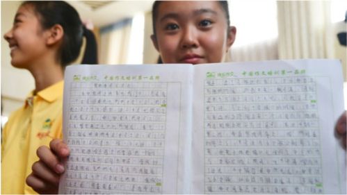 我的大學(xué)時(shí)光作文開(kāi)頭