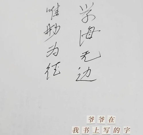 家里生活散文(家里校內散文)