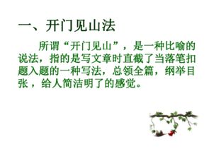 作文開(kāi)頭的寫(xiě)法指導課