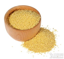 小米的營(yíng)養價(jià)值及功效(小米的功效與作用)