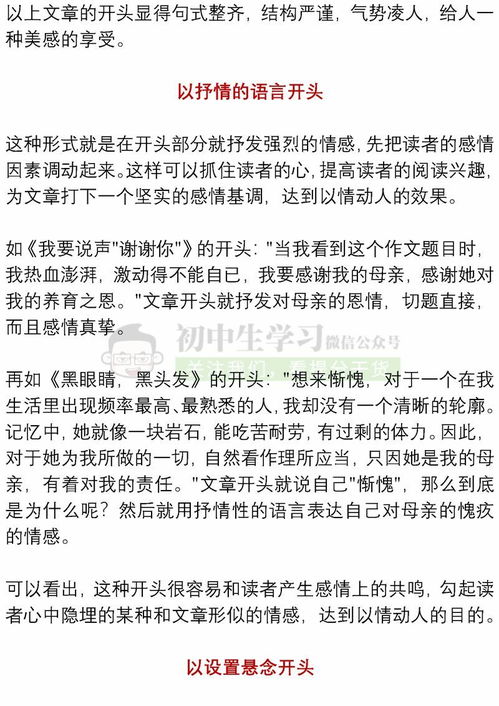 玩的真高興作文開(kāi)頭