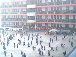 今冬的第一場(chǎng)雪作文開(kāi)頭