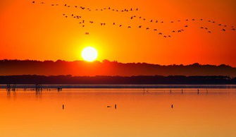 運動(dòng)會(huì )作文開(kāi)頭優(yōu)美句子,煩惱作文開(kāi)頭優(yōu)美句子,端午節作文開(kāi)頭優(yōu)美句子