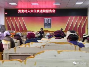 村書(shū)記縣人大代表述職報告(村書(shū)記述職報告、村書(shū)記述職報告范文、村書(shū)記述職報告精選)