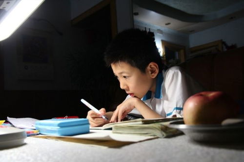 對父親的情感作文開(kāi)頭