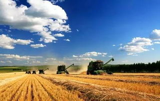 農業(yè)自查報告范文(農業(yè)自查報告范文)