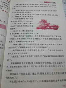 姐妹情作文開(kāi)頭結尾