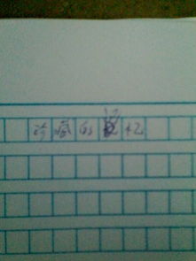 以珍藏的記憶作文開(kāi)頭