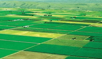 高標準農田建設標語(yǔ)(高標準農田建設標語(yǔ))