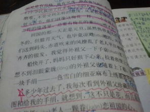 花的校園100字作文開(kāi)頭結尾