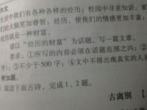 人性的經(jīng)歷作文開(kāi)頭