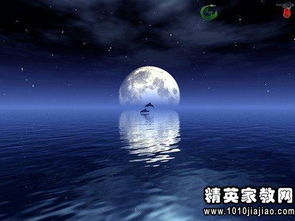 關(guān)于中秋節的作文用詩(shī)開(kāi)頭