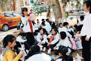 課外讀書(shū)活動(dòng)(課外讀書(shū)活動(dòng))