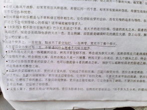 那一抹綠色800字作文開(kāi)頭