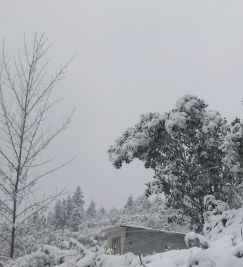 關(guān)于描寫(xiě)雪的作文開(kāi)頭與結尾,描寫(xiě)雪的作文開(kāi)頭怎么寫(xiě),描寫(xiě)雪的作文開(kāi)頭排比句